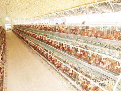 二氧化碳濃度探測器在畜牧業(yè)的應用